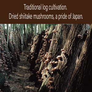 Japan Produced Japanese Delicious Donko Shiitake Mushrooms
