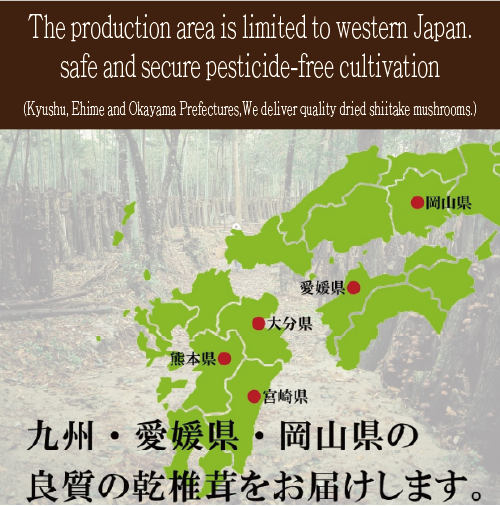 Japan Produced Japanese Delicious Donko Shiitake Mushrooms