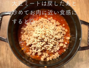 Japanese Minced Soy Meat