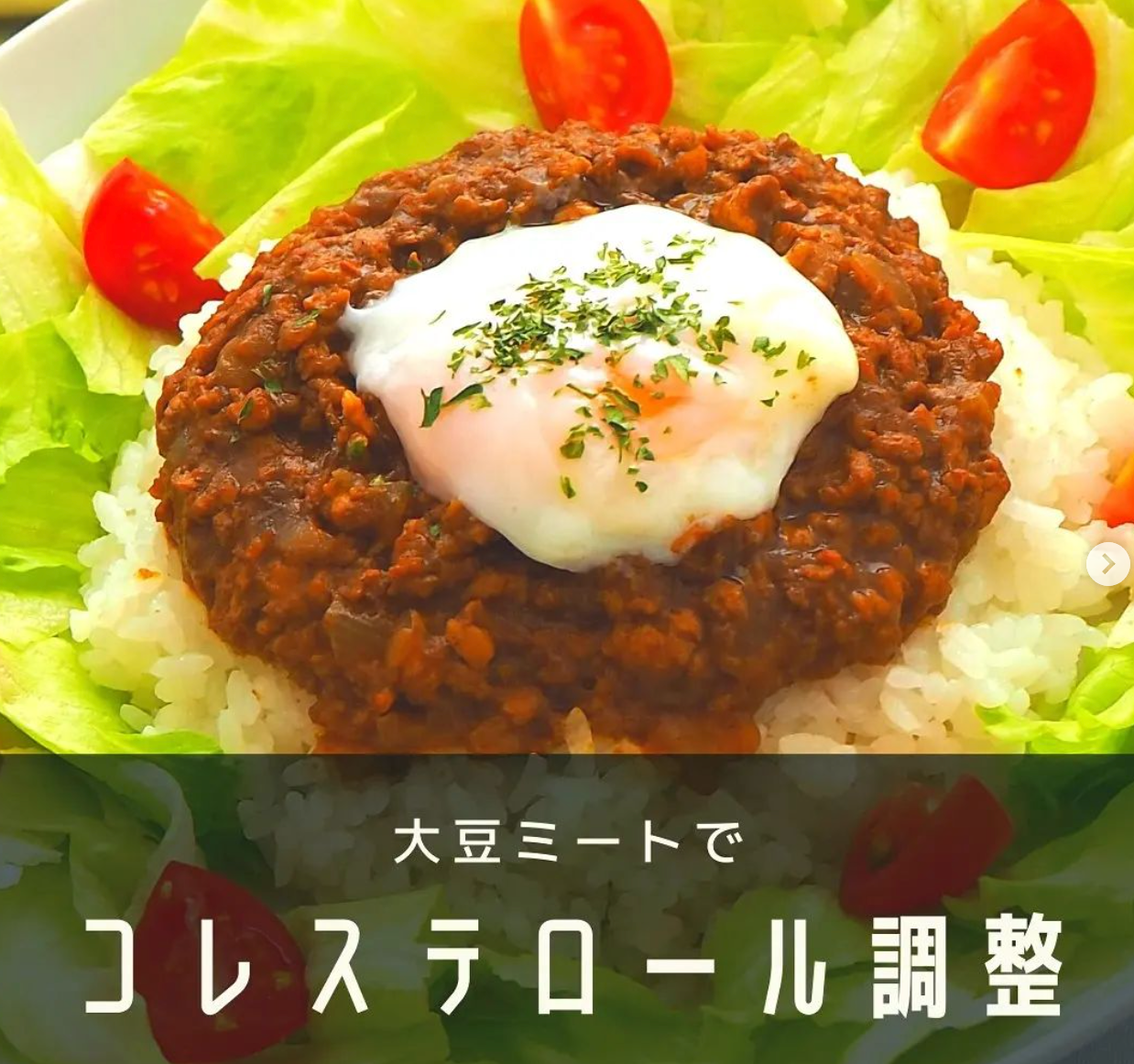 Japanese Minced Soy Meat