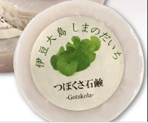 Facial bar Gotu Kola (CICA)  Premium Ayurveda Herb & Honey & Collagen 40g X 2pcs Made in Japan